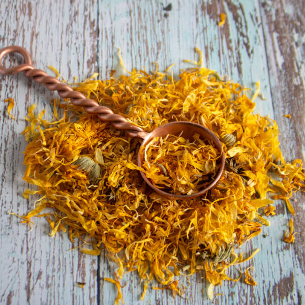 Calendula ( Marigold)