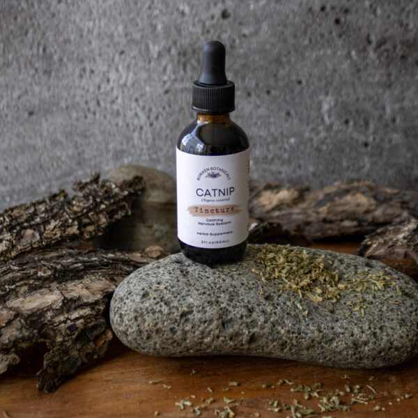 Catnip Tincture